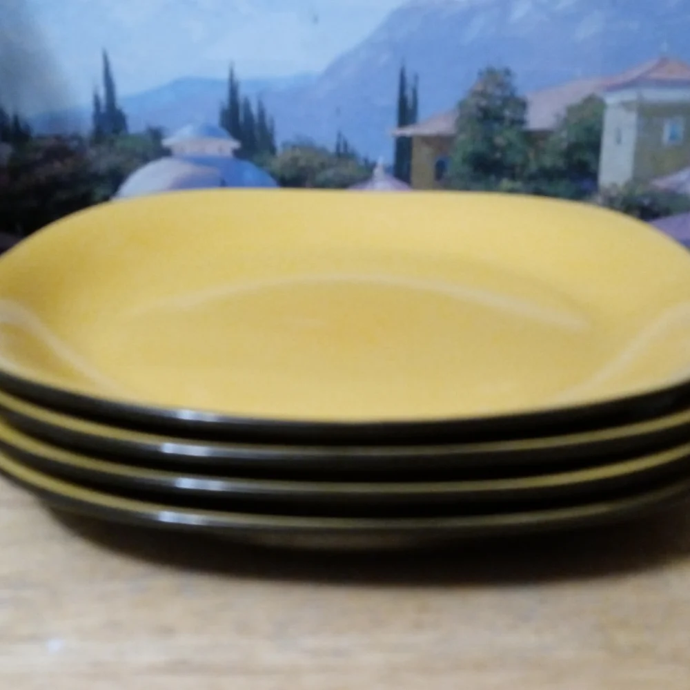 PIER 1 IMPORTS! 🍱Set Of 4 Square Dinner Plates.🍜 10.5" VINTAGE GIFT. - Picture 4 of 4